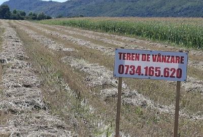 Teren de 8000 mp, în Podu Oltului - 1