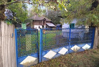 Casă cu 2 camere în Recea