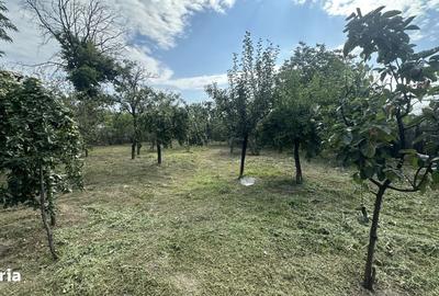 Casă cu 2 camere în Catane