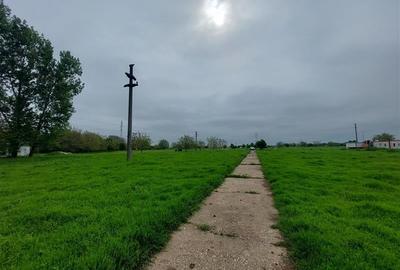 Teren agricol intravilan de 80000 mp, în Grădiște - 10