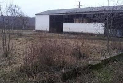 Spațiu comercial, de 930 mp, în Surduc - 6