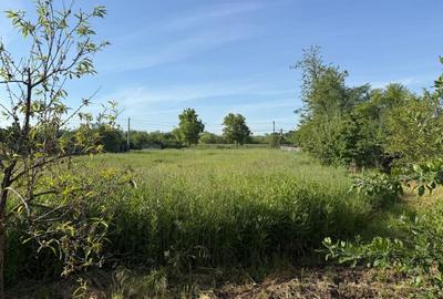 Teren Construcții intravilan de 3400 mp, în Sânmihaiu Român - 3