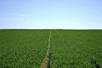 Teren agricol extravilan de 26 mp, în Râmnicelu