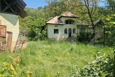 Casă cu 4 camere cu Teren 4332 Mp în Central