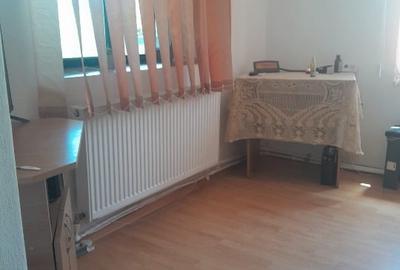 Casă individuală cu 2 camere cu Teren 1100 Mp în Beiu - 3