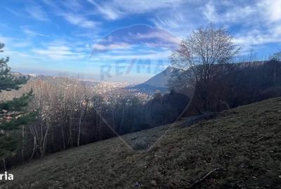 Spațiu comercial, în Schei - 4