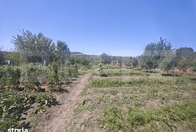 Casă cu 3 camere cu Teren 1356 Mp în Central