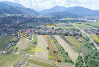 Teren agricol intravilan de 6000 mp, în Turcheș - 8