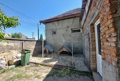 Casă individuală cu 5 camere cu Teren 2155 Mp în Periam - 20