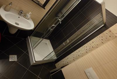 Apartament cu 3 camere semidecomandat în Torontalului - 8