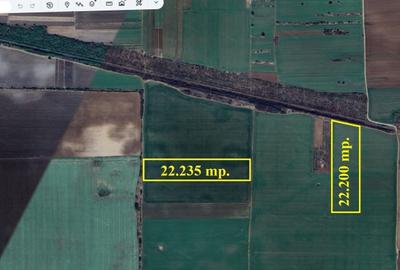 Teren agricol extravilan de 22200 mp, în Grădiștea - 4