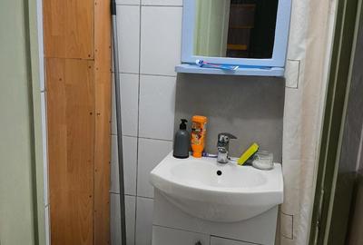 Garsonieră nedecomandată în Țiglari - 8