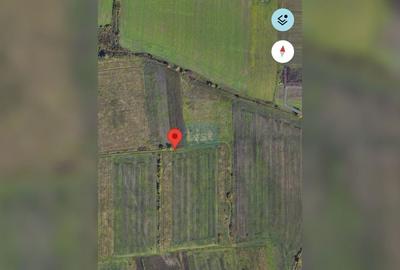 Teren agricol extravilan de 5050 mp, în Ghiroda - 2
