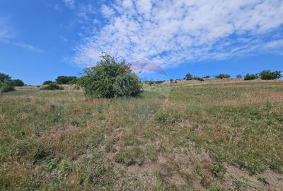 Teren agricol extravilan de 11600 mp, în Câmpenești - 5