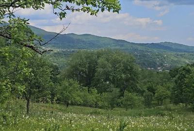 Teren de 600 mp, în Ghioșești - 3