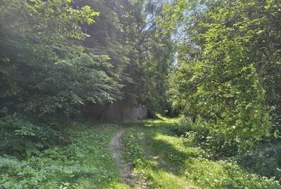 Teren Construcții intravilan de 1698 mp, în Vâlcele - 3
