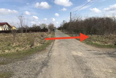 Teren de 1000 mp, în Valter Mărăcineanu - 4