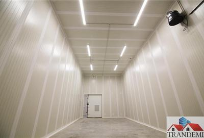 Spațiu comercial, de 1,200 mp, în Lancrăm - 18