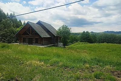 Teren intravilan de 46800 mp, în Gura Beliei