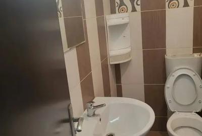 Garsonieră, mobilată în Berceni