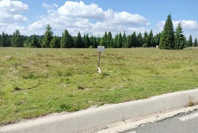 Teren de 1000 mp, în Beliș - 2