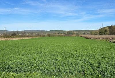 Teren de 4300 mp, în Lalașinț - 2