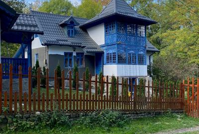 Casă individuală cu 6 camere cu Teren 10000 Mp în Plaiu (Provița de Sus)
