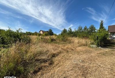 Teren de 700 mp, în Făget