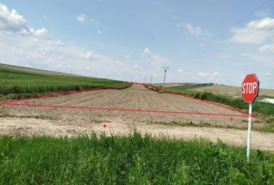 Teren agricol extravilan de 8000 mp, în Oneaga - 2