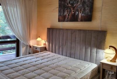 Casă cu 5 camere cu Garaj în Predeal - 4