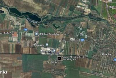 Teren de 11900 mp, în Sântandrei