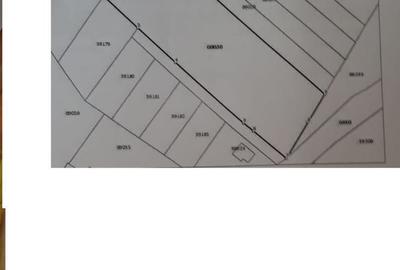 Teren de 5337 mp, în Jucu