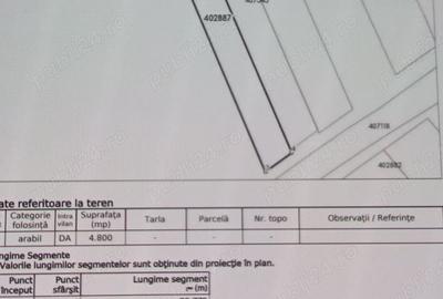Teren de 175000 mp, în Remetea Mare - 5