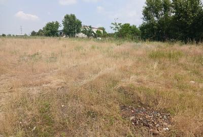 Teren de 3200 mp, în Domnești - 3