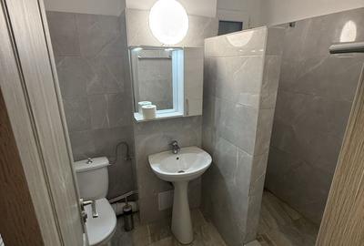 Apartament cu 3 camere decomandat în Dosu Bricii
