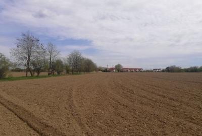 Teren de 9200 mp, în Bolintin-Vale - 1