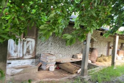 Casă cu 2 camere în Marotinu de Jos - 6