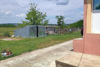 Casă cu Teren 5000 Mp în Central - 2