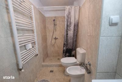 Apartament cu 2 camere decomandat în Horea