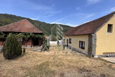 Casă individuală cu 4 camere cu Canalizare în Dăbâca