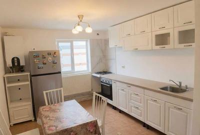 Apartament cu 2 camere semidecomandat în Cetate - 3