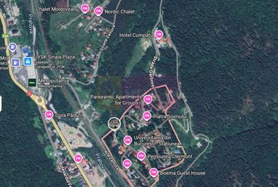 Teren extravilan de 37496 mp, în Cumpătu - 2