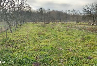 Casă cu 4 camere cu Teren 2000 Mp în Curtea - 7