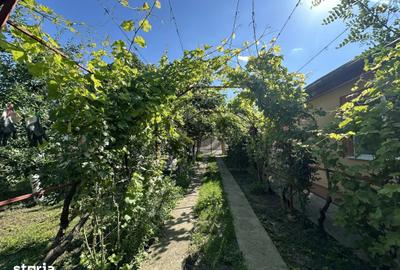 Casă cu 4 camere cu Teren 660 Mp în Central - 16