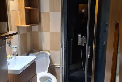 Garsonieră în Brazda lui Novac - 3