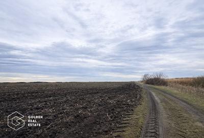 Teren agricol extravilan de 17900 mp, în Utvin