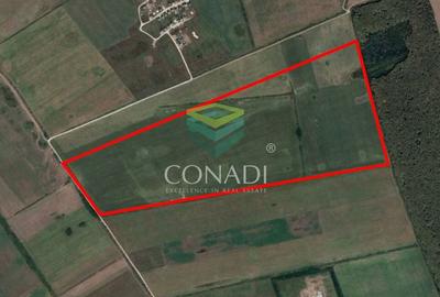 Teren Construcții intravilan de 450000 mp, în Ostratu - 6