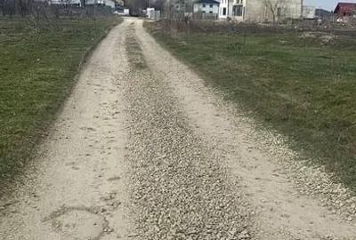 Teren de 1055 mp, în Dumitrana - 6
