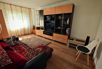 Apartament cu 2 camere decomandat în Lacu - 1