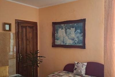 Apartament cu 2 camere în Central - 2